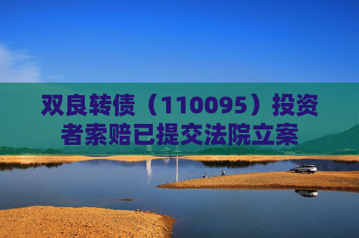 双良转债（110095）投资者索赔已提交法院立案