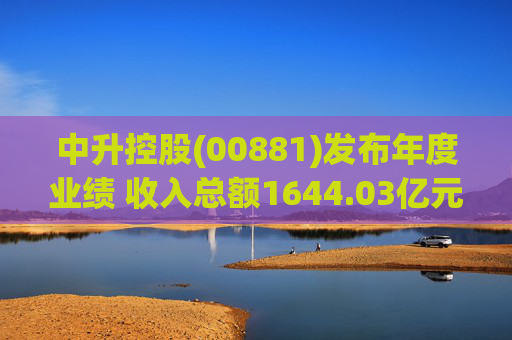 中升控股(00881)发布年度业绩 收入总额1644.03亿元 新车销售49.7万辆 同比增长2.5%