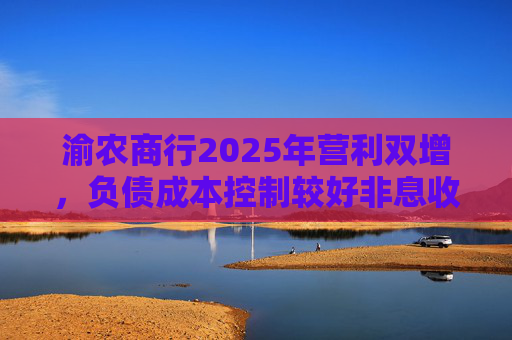 渝农商行2025年营利双增，负债成本控制较好非息收入有所下降