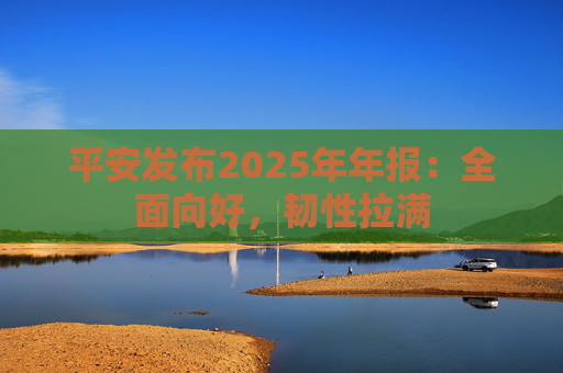 平安发布2025年年报：全面向好，韧性拉满
