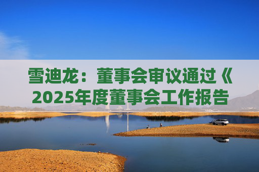 雪迪龙：董事会审议通过《2025年度董事会工作报告》等多项议案