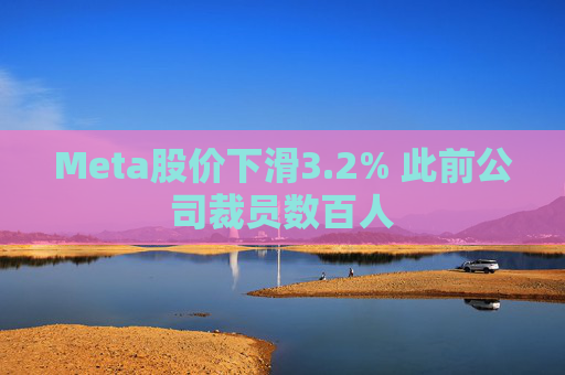 Meta股价下滑3.2% 此前公司裁员数百人