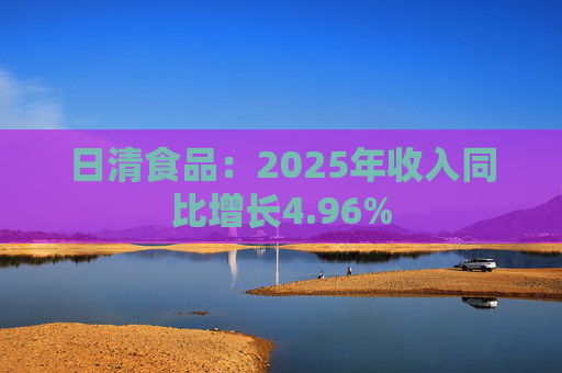 日清食品：2025年收入同比增长4.96%