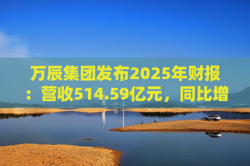 万辰集团发布2025年财报：营收514.59亿元，同比增长59.17%