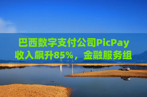 巴西数字支付公司PicPay收入飙升85%，金融服务组合持续扩大  第1张