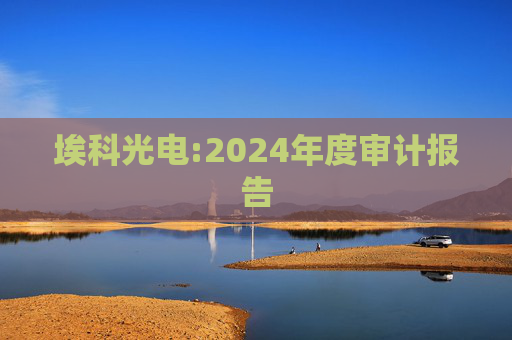 埃科光电:2024年度审计报告