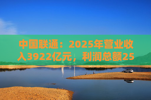 中国联通:2025年营业收入3922亿元,利润总额253亿元 第1张 中国联通:2025年营业收入3922亿元,利润总额253亿元 第1张