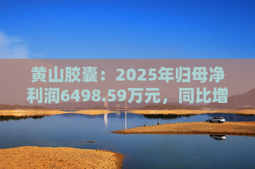 黄山胶囊：2025年归母净利润6498.59万元，同比增长31.94%