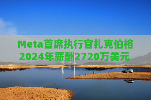 Meta首席执行官扎克伯格2024年薪酬2720万美元 高于上年的2440万美元