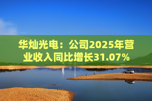 华灿光电：公司2025年营业收入同比增长31.07%