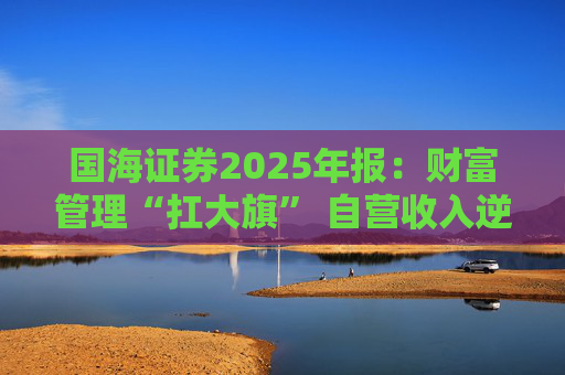 国海证券2025年报：财富管理“扛大旗” 自营收入逆势大降 投行收入占比仅2%