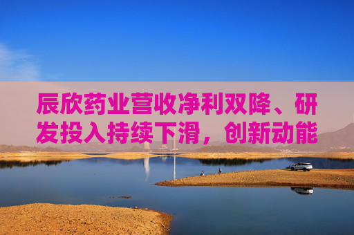 辰欣药业营收净利双降、研发投入持续下滑，创新动能不足亟待破局  第1张