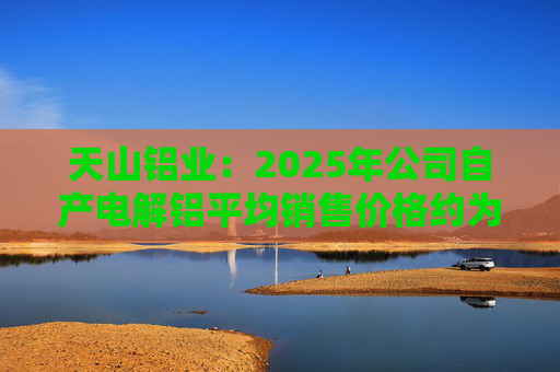 天山铝业：2025年公司自产电解铝平均销售价格约为20600元/吨