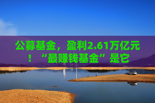 公募基金，盈利2.61万亿元！“最赚钱基金”是它