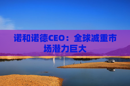 诺和诺德CEO：全球减重市场潜力巨大