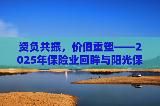 资负共振，价值重塑――2025年保险业回眸与阳光保险样本  第1张