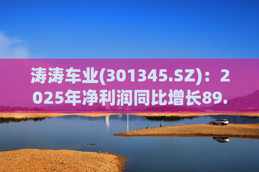 涛涛车业(301345.SZ):2025年净利润同比增长89.29% 拟10派15元 第1张 涛涛车业(301345.SZ):2025年净利润同比增长89.29% 拟10派15元 第1张