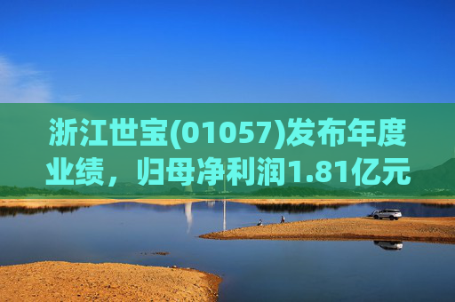 浙江世宝(01057)发布年度业绩，归母净利润1.81亿元 同比增加21.05%  第1张