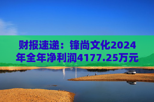 财报速递:锋尚文化2024年全年净利润4177.25万元 第1张 财报速递:锋尚文化2024年全年净利润4177.25万元 第1张