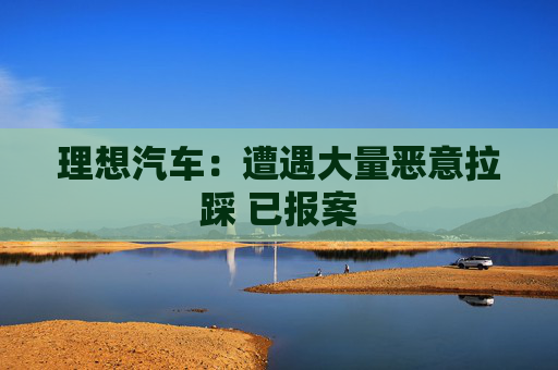 理想汽车：遭遇大量恶意拉踩 已报案