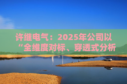 许继电气：2025年公司以“全维度对标、穿透式分析、动态化管控”为核心  第1张