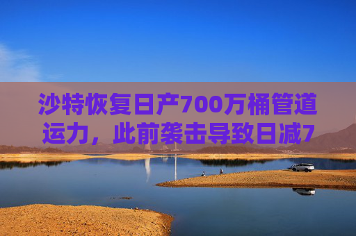 沙特恢复日产700万桶管道运力，此前袭击导致日减70万桶