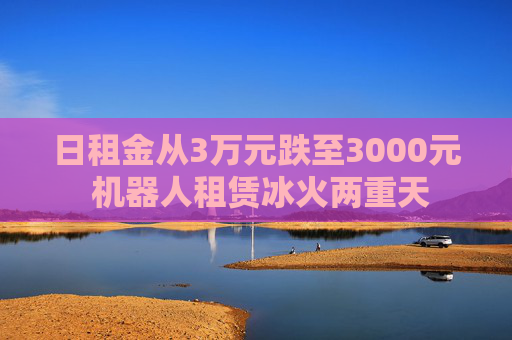 日租金从3万元跌至3000元 机器人租赁冰火两重天 第1张 日租金从3万元跌至3000元 机器人租赁冰火两重天 第1张