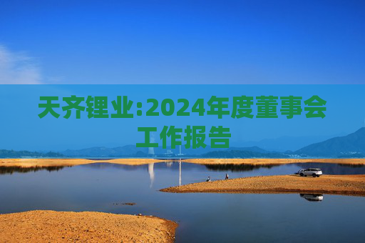 天齐锂业:2024年度董事会工作报告  第1张
