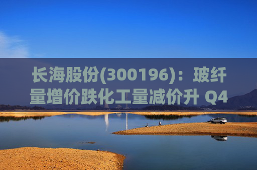 长海股份(300196)：玻纤量增价跌化工量减价升 Q4业绩同比显著修复  第1张
