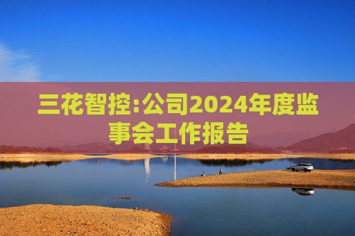 三花智控:公司2024年度监事会工作报告
