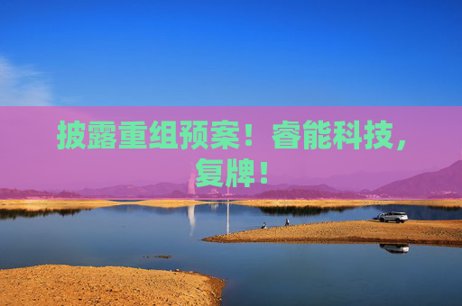 披露重组预案！睿能科技，复牌！