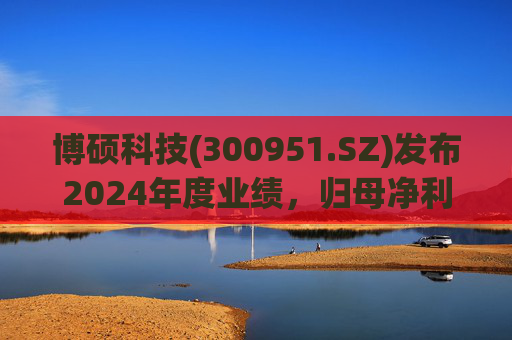 博硕科技(300951.SZ)发布2024年度业绩，归母净利润2.11亿元，同比下降17.35%  第1张