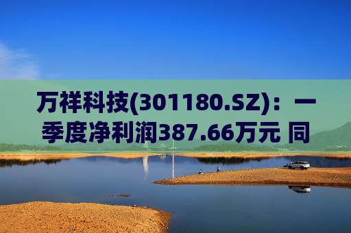 万祥科技(301180.SZ)：一季度净利润387.66万元 同比增加2125.47%