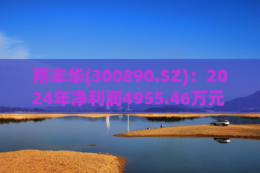 翔丰华(300890.SZ)：2024年净利润4955.46万元 同比下降40.23%
