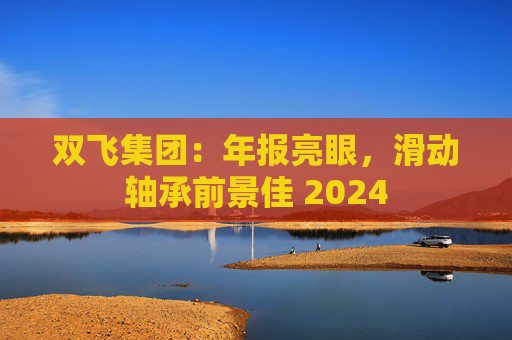 双飞集团：年报亮眼，滑动轴承前景佳 2024  第1张