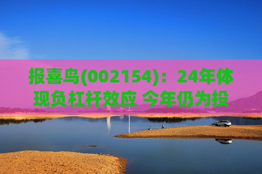 报喜鸟(002154):24年体现负杠杆效应 今年仍为投入年 第1张 报喜鸟(002154):24年体现负杠杆效应 今年仍为投入年 第1张