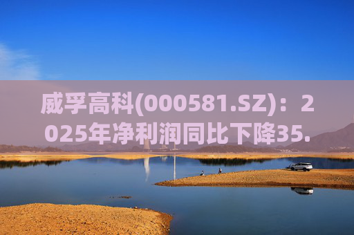 威孚高科(000581.SZ):2025年净利润同比下降35.63% 拟10股派7元 第1张 威孚高科(000581.SZ):2025年净利润同比下降35.63% 拟10股派7元 第1张