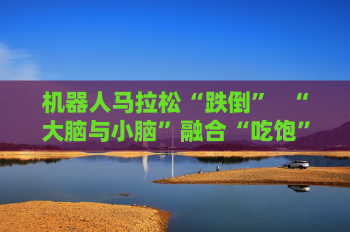 机器人马拉松“跌倒” “大脑与小脑”融合“吃饱”