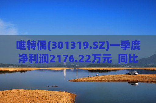 唯特偶(301319.SZ)一季度净利润2176.22万元 同比增长0.70% 第1张 唯特偶(301319.SZ)一季度净利润2176.22万元 同比增长0.70% 第1张