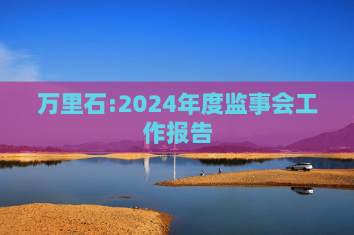 万里石:2024年度监事会工作报告  第1张