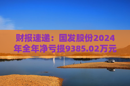 财报速递：国发股份2024年全年净亏损9385.02万元