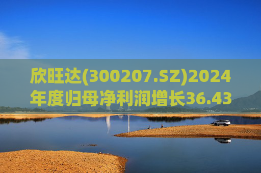 欣旺达(300207.SZ)2024年度归母净利润增长36.43%至14.68亿元，动力电池出货量合计25.29GWh  第1张