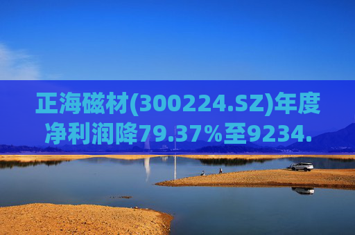 正海磁材(300224.SZ)年度净利润降79.37%至9234.02万元  高性能钕铁硼永磁材料销量实现连续七年增长