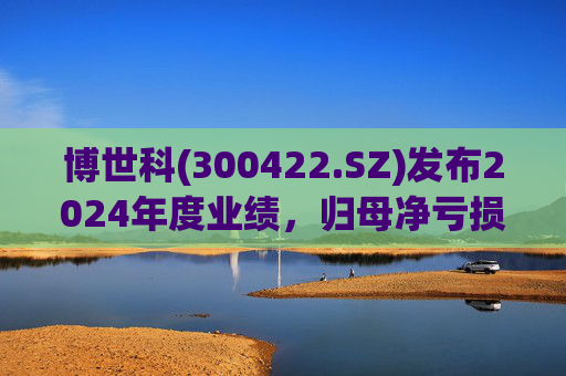 博世科(300422.SZ)发布2024年度业绩，归母净亏损8.65亿元，扩大300.66%