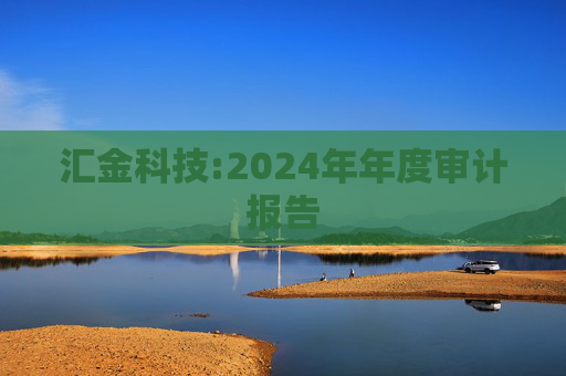 汇金科技:2024年年度审计报告