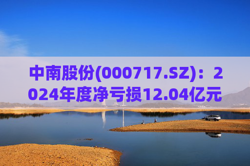 中南股份(000717.SZ)：2024年度净亏损12.04亿元