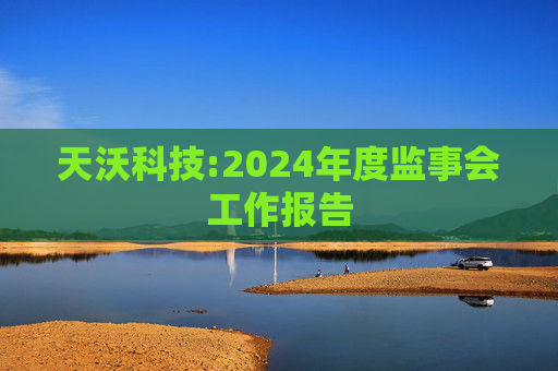 天沃科技:2024年度监事会工作报告  第1张