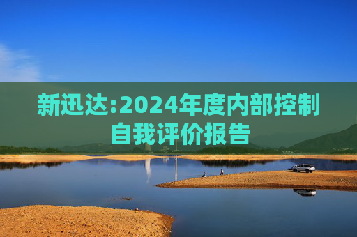 新迅达:2024年度内部控制自我评价报告