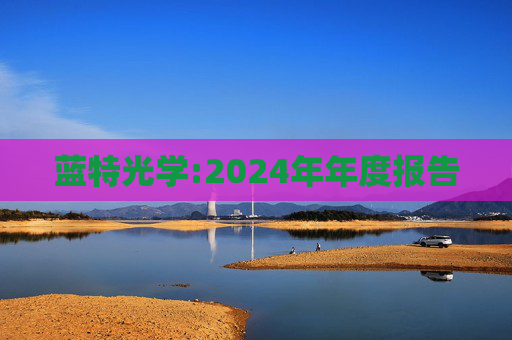 蓝特光学:2024年年度报告  第1张