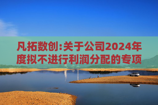 凡拓数创:关于公司2024年度拟不进行利润分配的专项说明